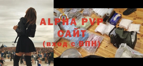 стаф Магадан