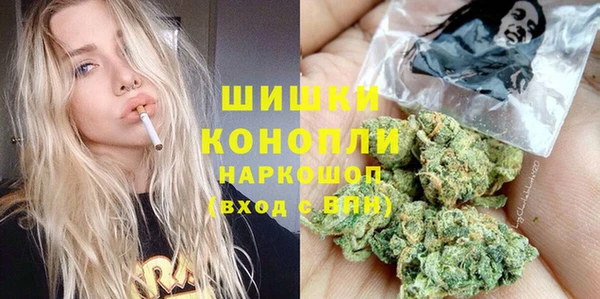 стаф Магадан