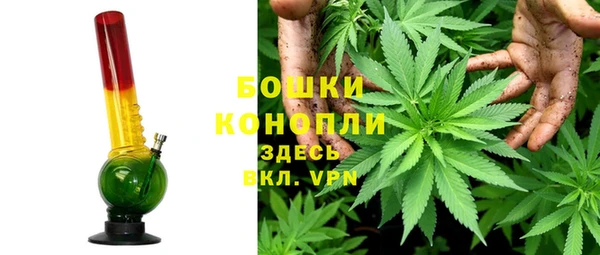 стаф Магадан